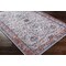 Livabliss Tahmis THI-2713 Machine Washable Area Rug THI2713-679 - alternate 4